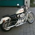 Harley-Davidson XL883c