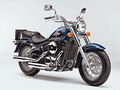 Kawasaki VN 800 Classic