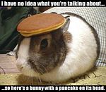 t-bunny-pancake.jpg