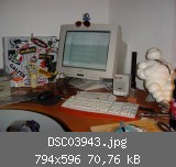 DSC03943.jpg