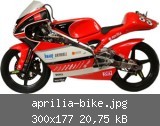 aprilia-bike.jpg