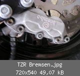 TZR Bremsen.jpg