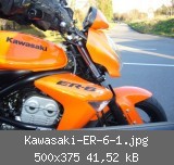 Kawasaki-ER-6-1.jpg