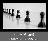 schach1.jpg