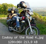 Cowboy of the Road 4.jpg