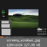 screeny_windows.jpg