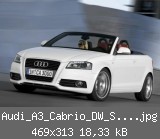 Audi_A3_Cabrio_DW_S_448325g.jpg