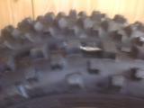 DSC00195.jpg