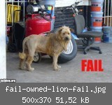 fail-owned-lion-fail.jpg