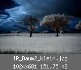 IR_Baum2_klein.jpg