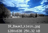 IR_Baum3_klein.jpg