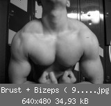 Brust + Bizeps ( 9.4.05).jpg