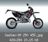 GasGas-SM 250 45%.jpg