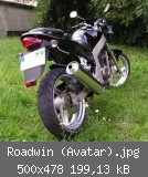 Roadwin (Avatar).jpg
