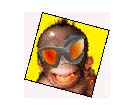 lol.jpg