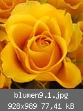 blumen9.1.jpg